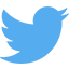 Social Media Twitter